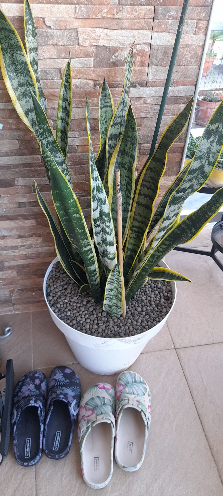 Espada Sao Jorge