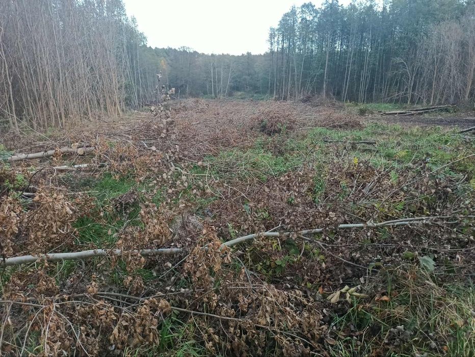 Działka budowlana 4800 m