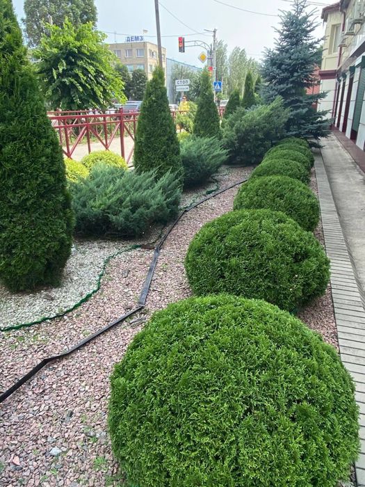 Послуги садівника, озеленення территорії