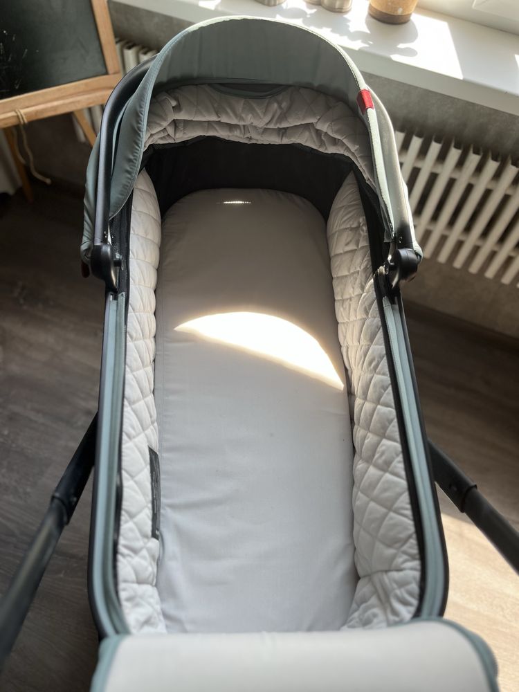 Коляска 2в1 Carello Alfa