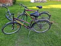 Para rowerów MTB Arkus