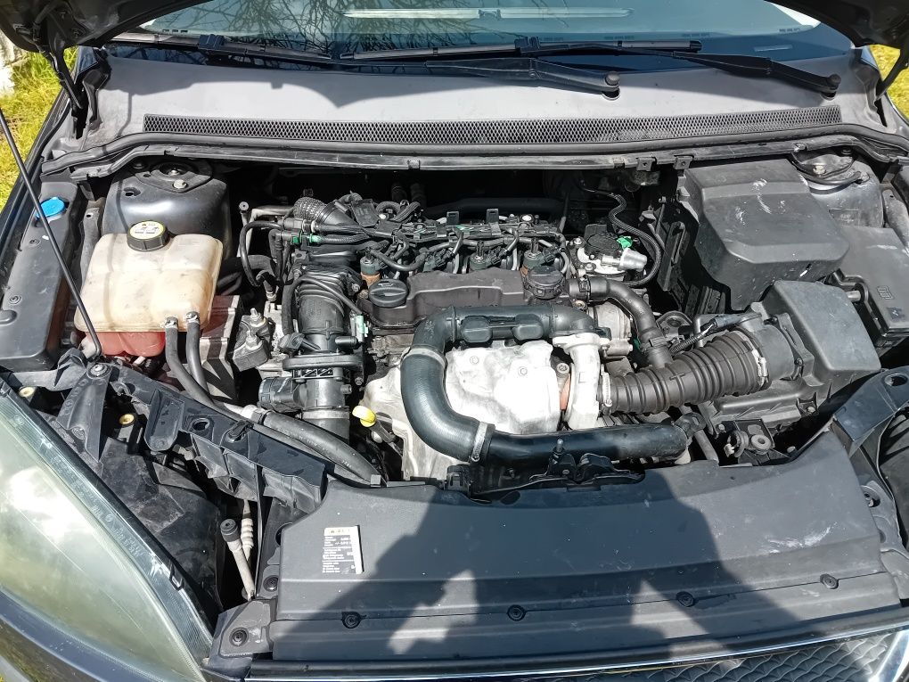 Ford focus sw guia