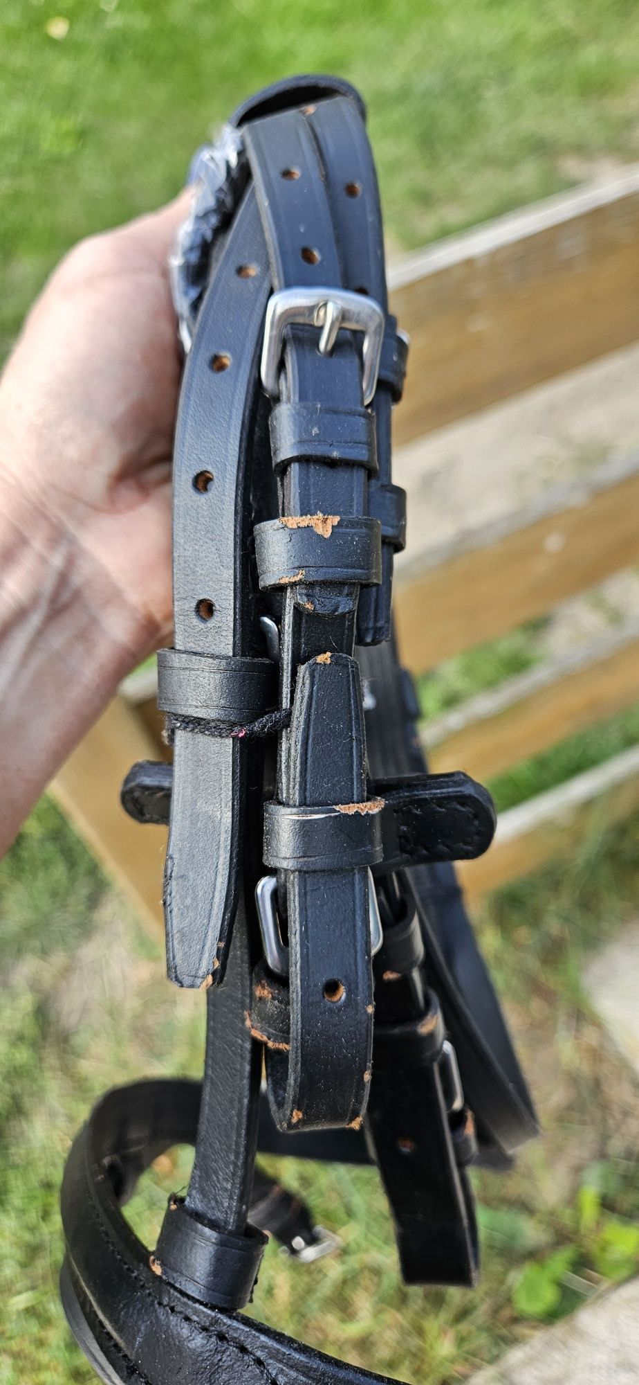 Nowe ogłowie Busse Shetty II Stars