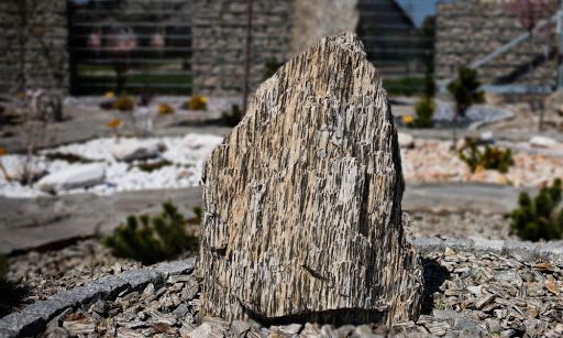 Kora Kamienna Grys ozdobny Gnejs Kostka Kamień dekoracyjne Bryły Głazy