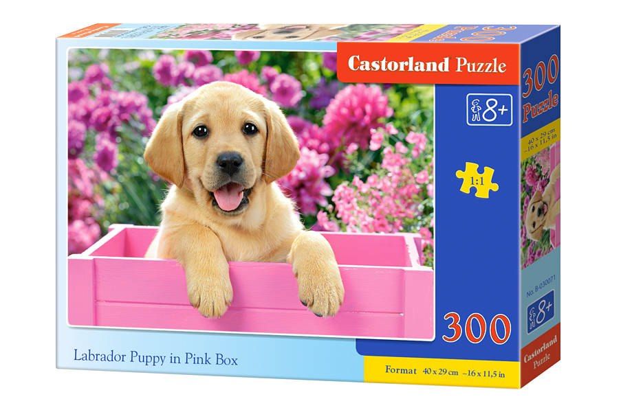 Puzzle dla dzieci bajkowe bajki  300 el. Labrador Puppy in Pink Box