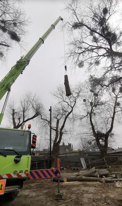 Wycinki drzew, met.alpinistycznymi, z użyciem dźwigów, podnośników