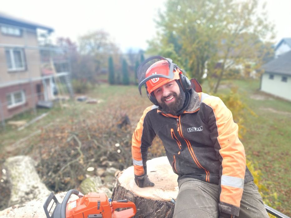 Wycinka drzew usługi rębakiem koszenie czyszczenie kostki