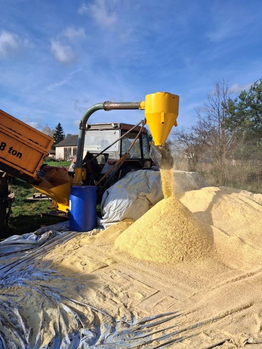 Śrutowanie kukurydzy CCM młyn