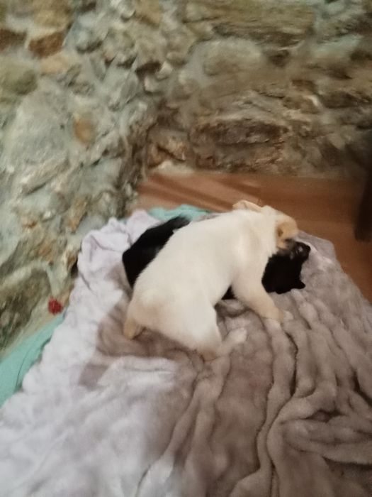 l.Cahorros para dar.