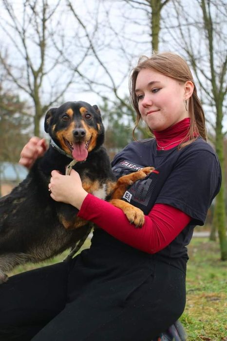 Miał tylko 10 miesięcy, kiedy do nas trafił. Teraz to już dorosły pies