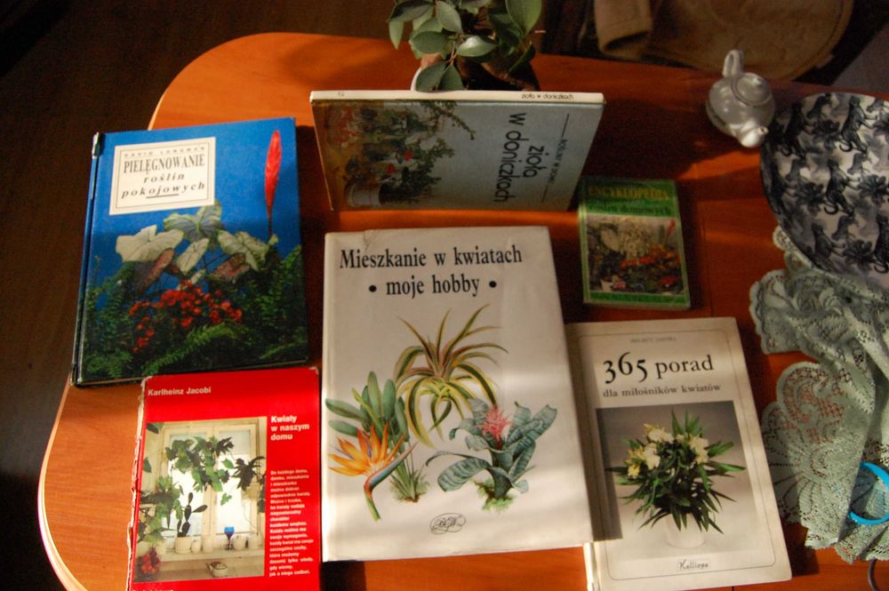 Kieszonkowa encyklopedia praktycznej uprawy roślin domowych.
