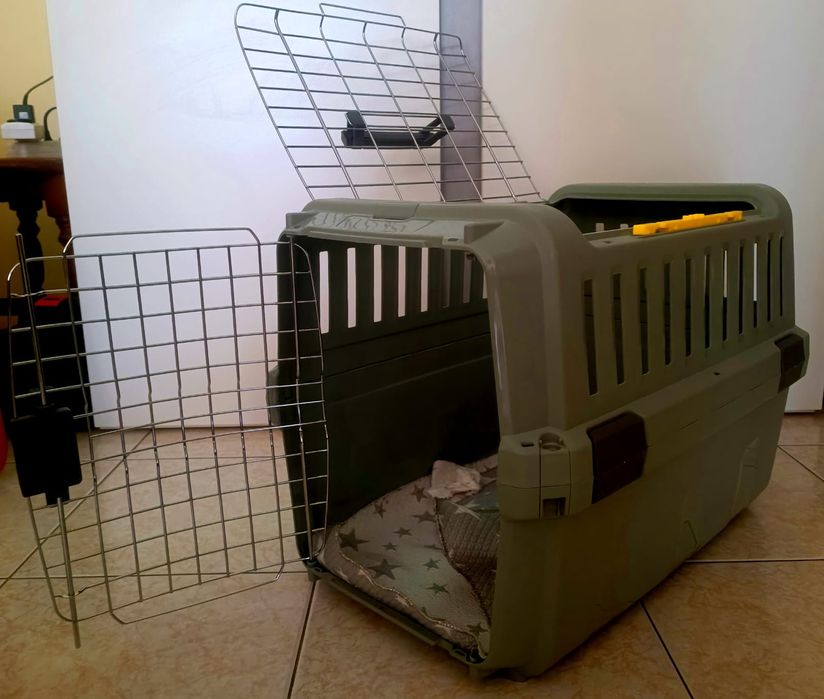 Transportadora cão