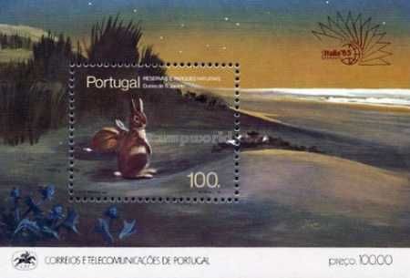 Bloco - Reservas e Parques