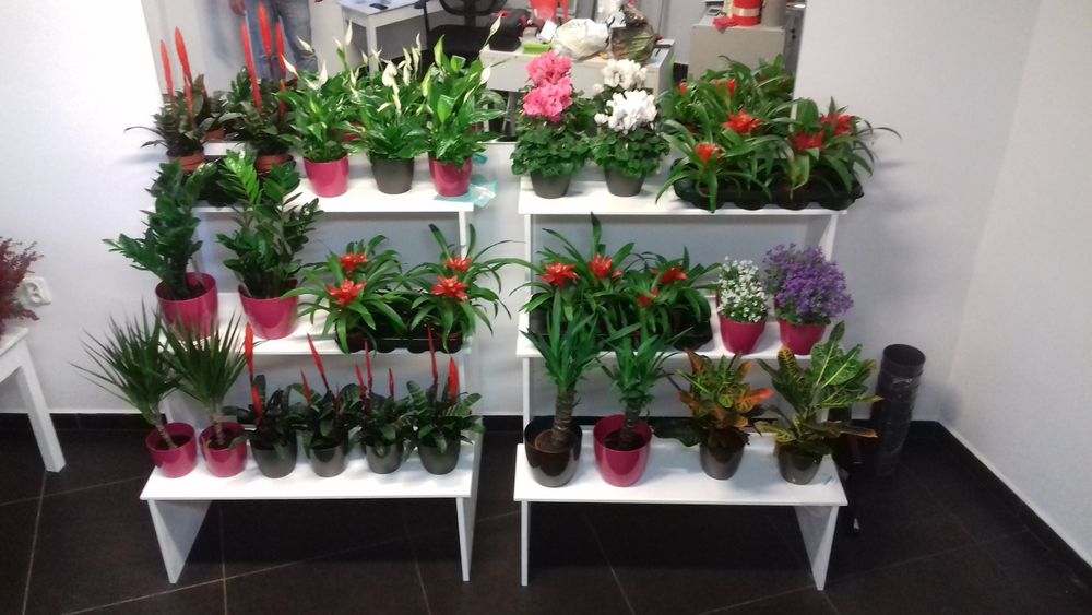 Schody drewniane kwietnik wyposażenie kwiaciarni dekoracja domu