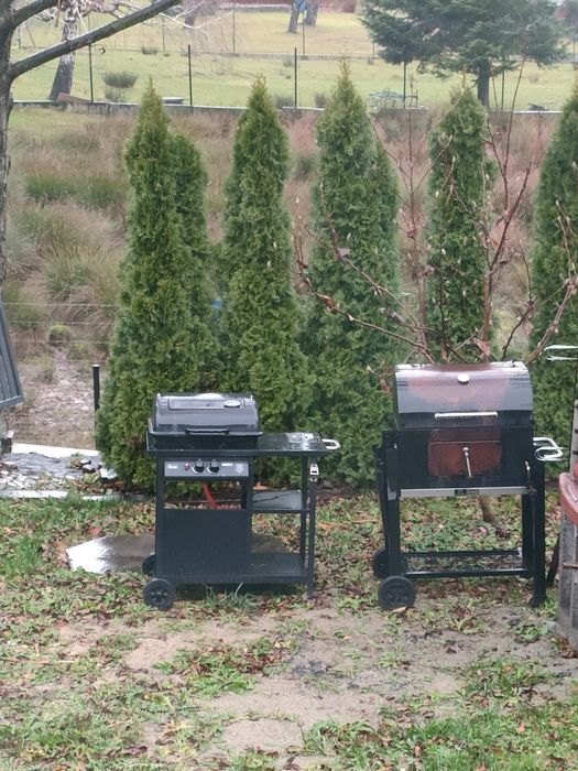 Grill ogrodowy gazowy i węglowy