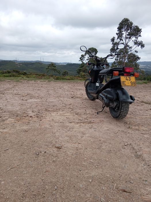 Honda zoomer 50cc 2005