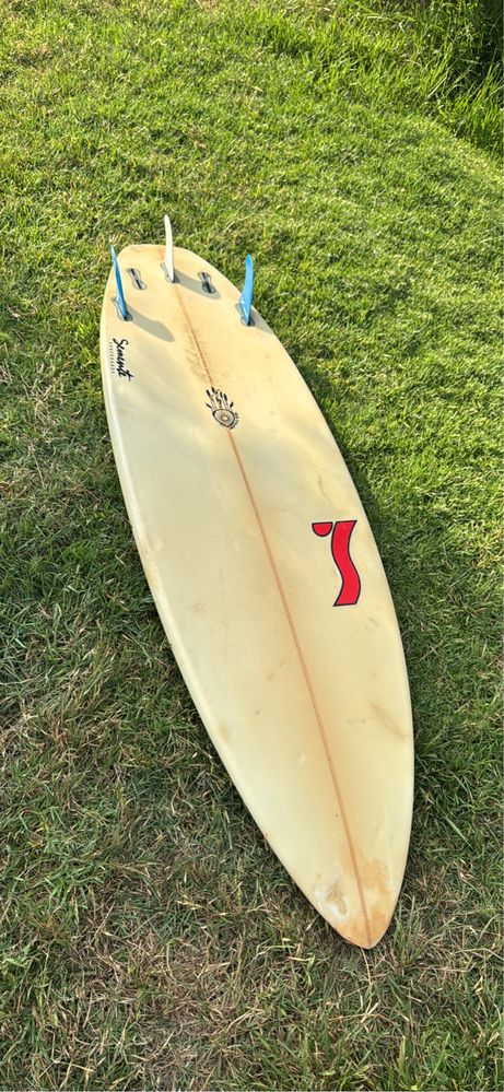 Prancha de surf semente 6.2