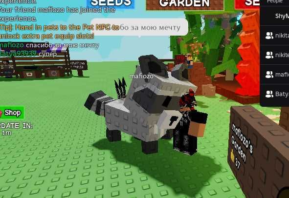 Пети grow a garden,raccon/енот/єнот РОЗПРОДАЖ