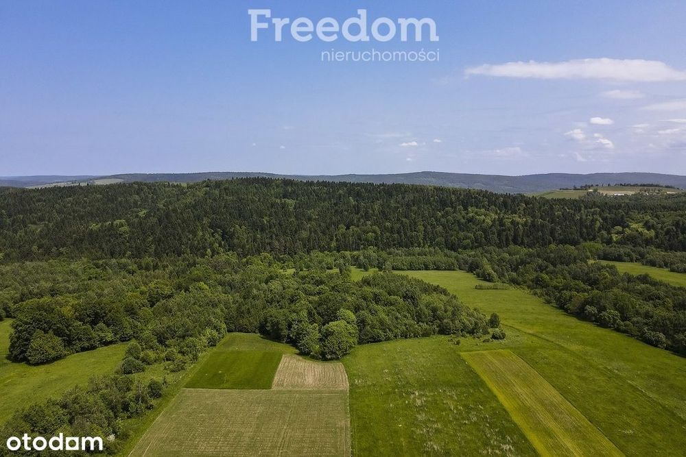 1,8 ha pod rekreację, siedlisko lub fotowoltaikę
