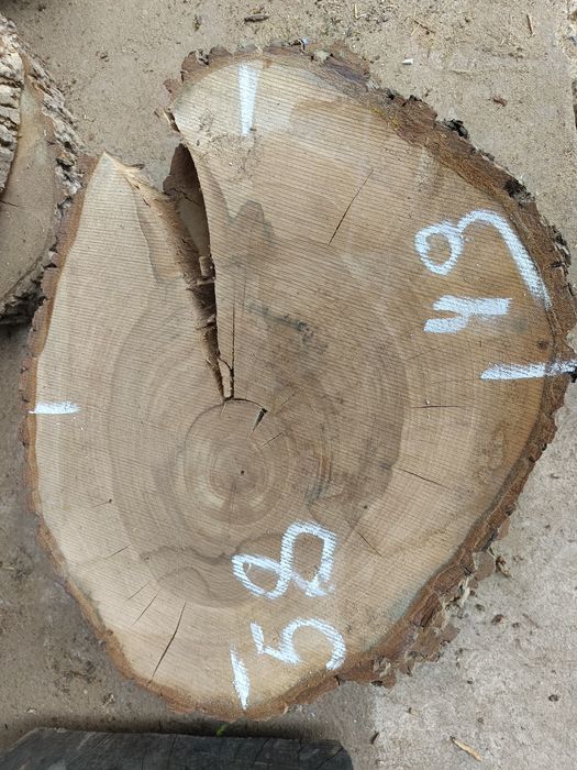 Plastry jesionowe i z orzecha włoskiego, suche  na stoliki itp.