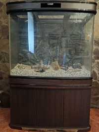 Продам акваріум на 460 літрів