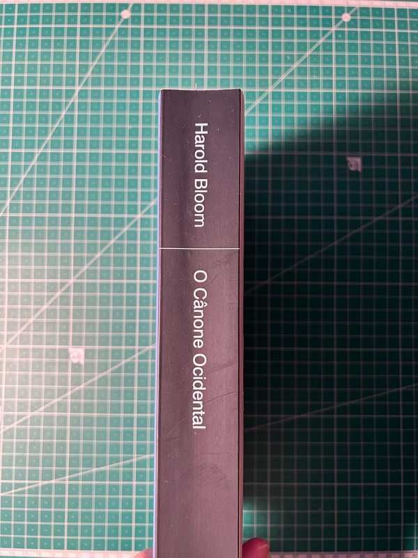 (USADO)O Cânone Ocidental - Harold Bloom