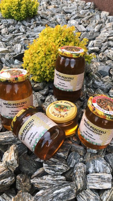 Miód pszczeli naturalny z własnej pasieki spadziowy spadź