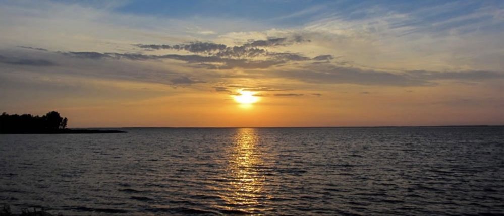VIPділянка 0.57Га,вихід на Київське море,заповідник,поряд з Межигір'ям