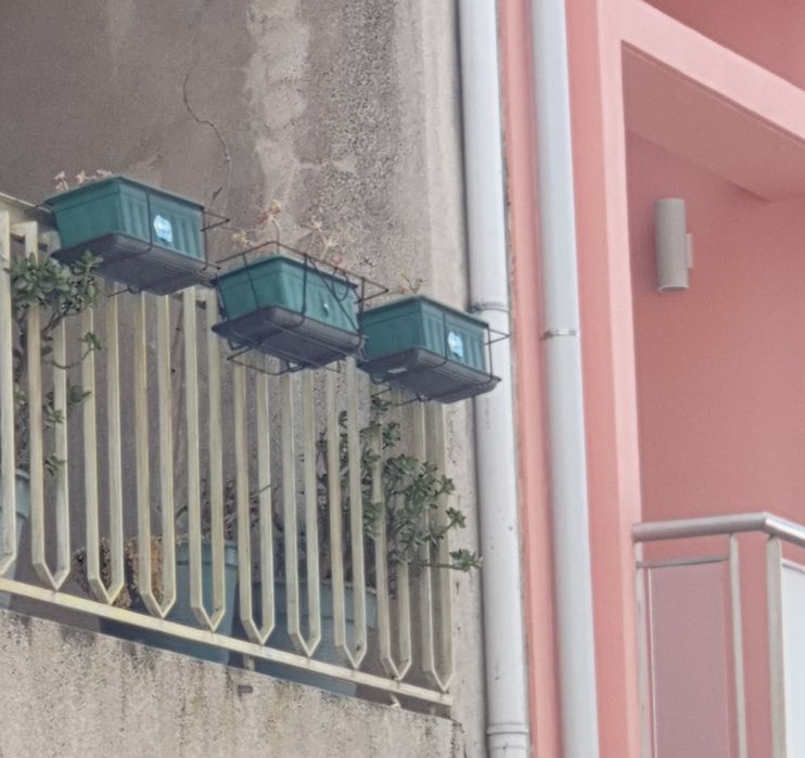 Vendo floreira com suculenta ofereço expositor e prato de fundo.