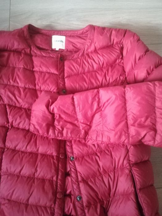 Kurteczka damska zalando s