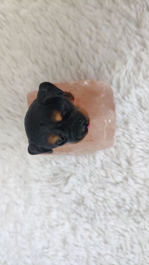 Figurka psa na kostce soli