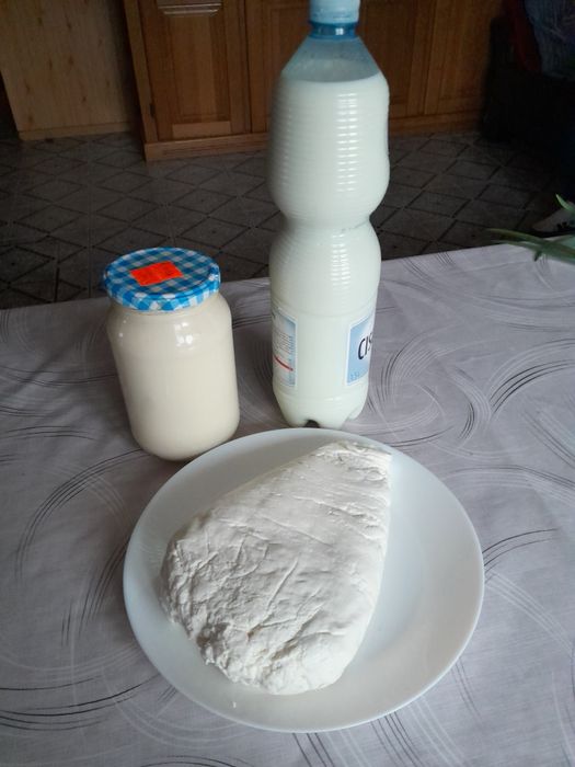 Świeże mleko i inne wyroby od krowy
