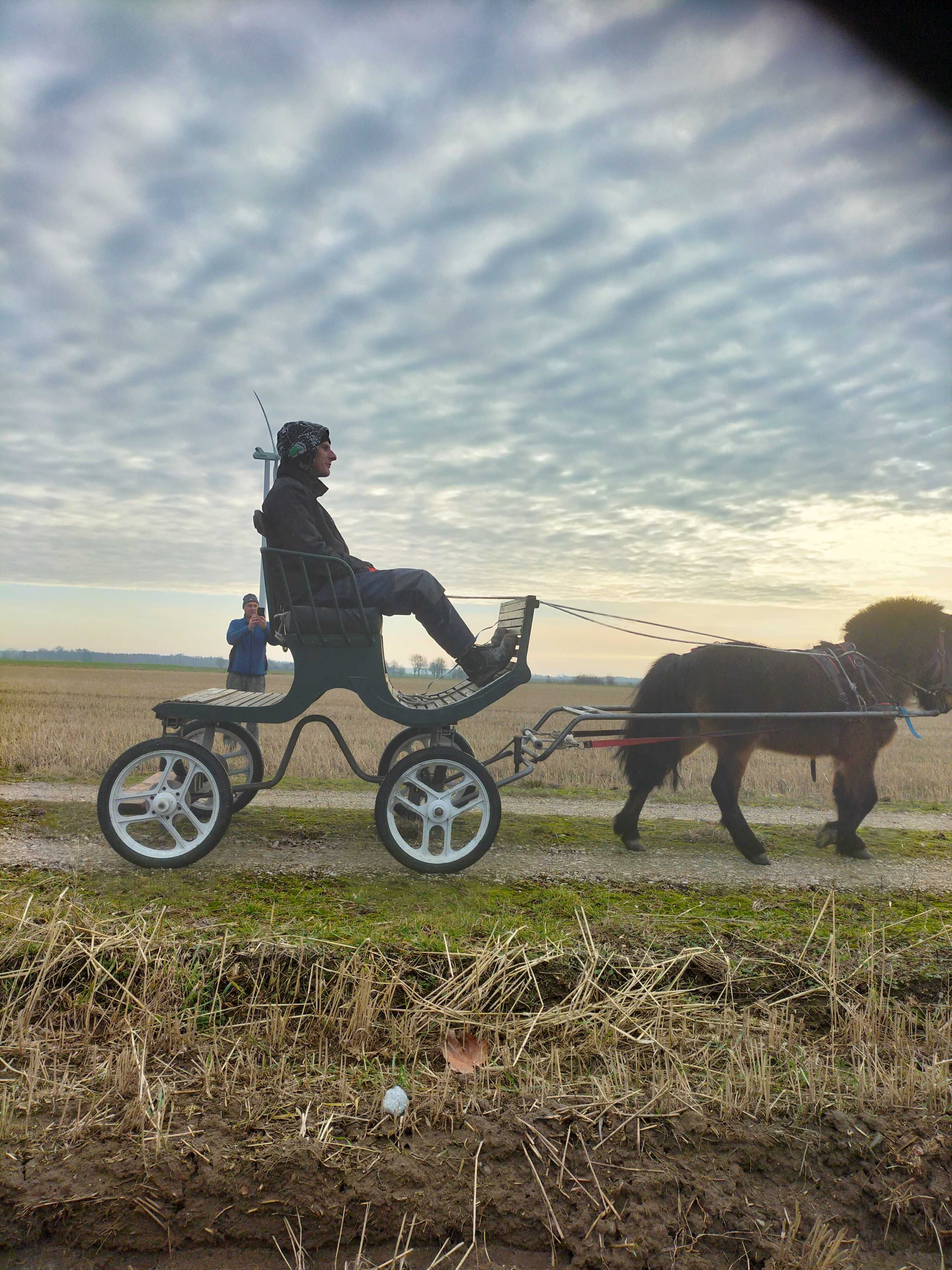 Bryczka konna kucyk