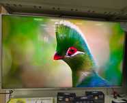 Телевізор Sony 65 б/в з Німеччини; 1 РІК ГАРАНТІЇ
