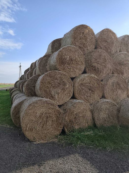 Sprzedam Słomę zimową