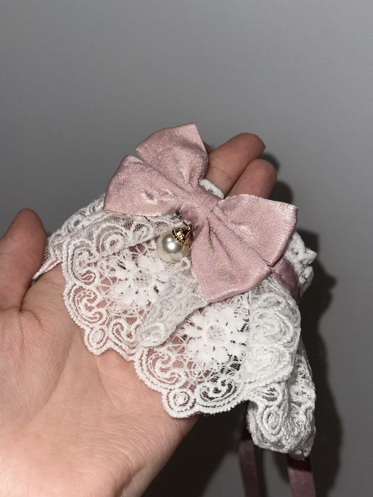 Переноски одяг взуття сухий корм та інше для собак цуциків та кошенят