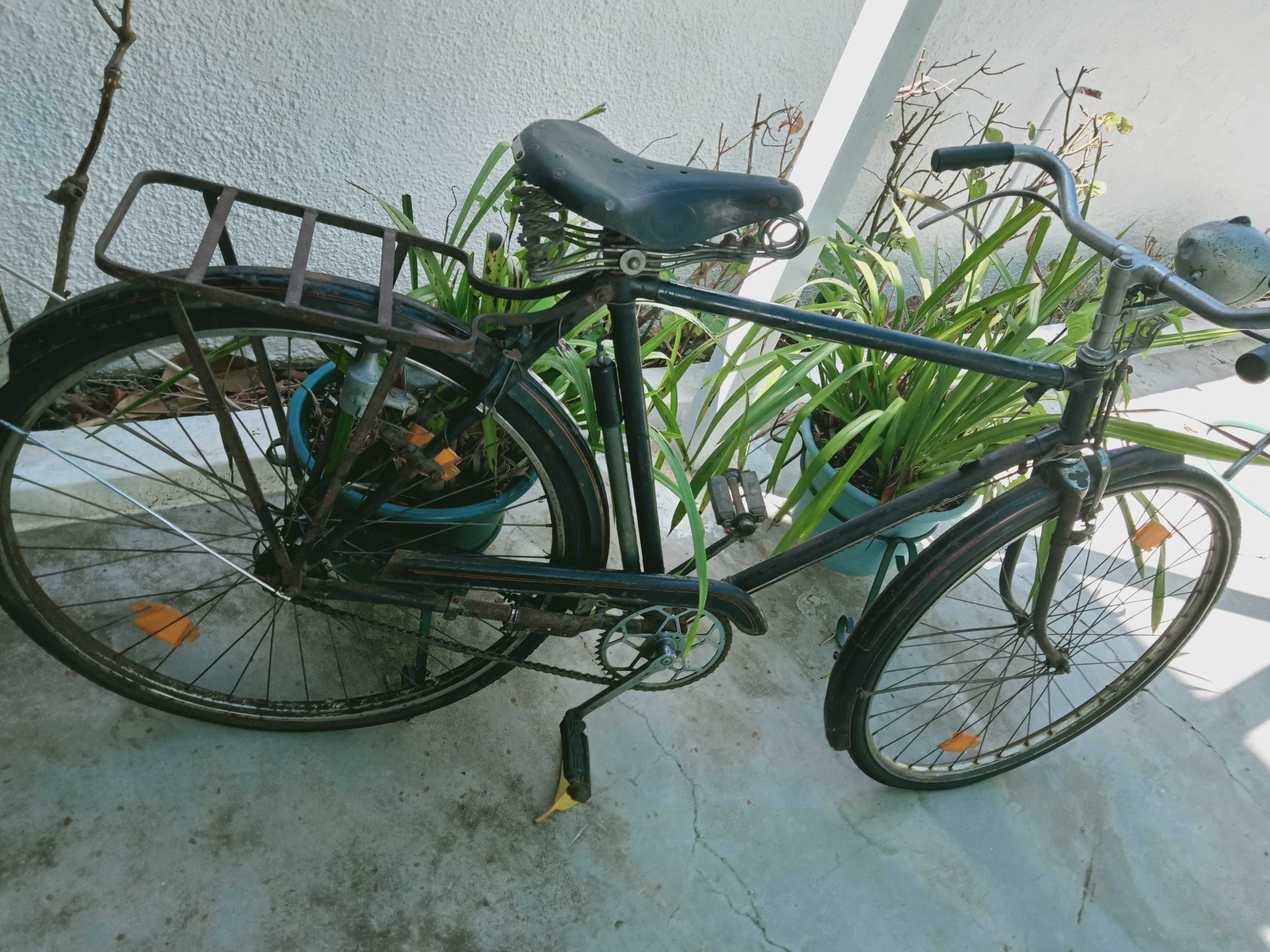 Bicicleta Pasteleira roda 28