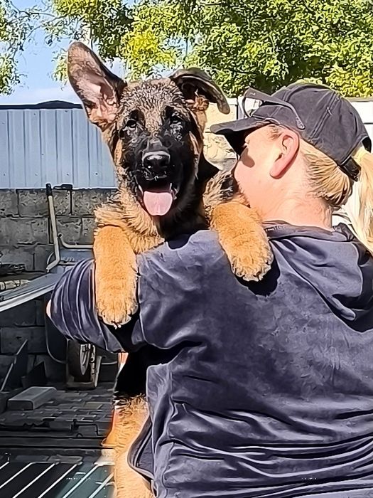 Хлопець, 4 місяці, КСУ