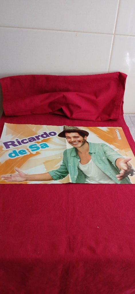 Poster Carly Rae Jepsen/Ricardo de Sá
