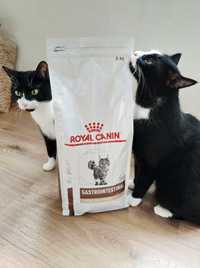 Лечебный корм Royal Canin Gastrointestinal Fibre Response Feline