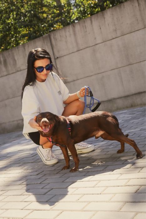 Ego super pies dla super czlowieka