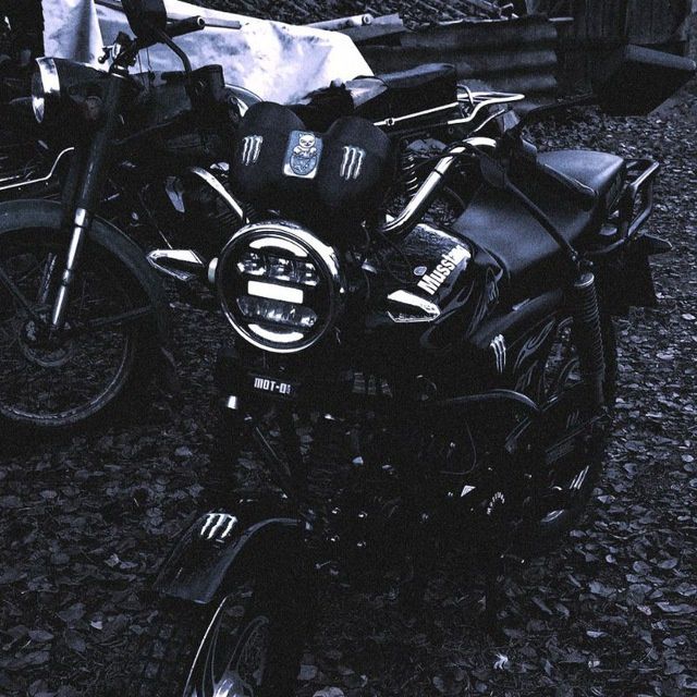 Мустанг фит 125.