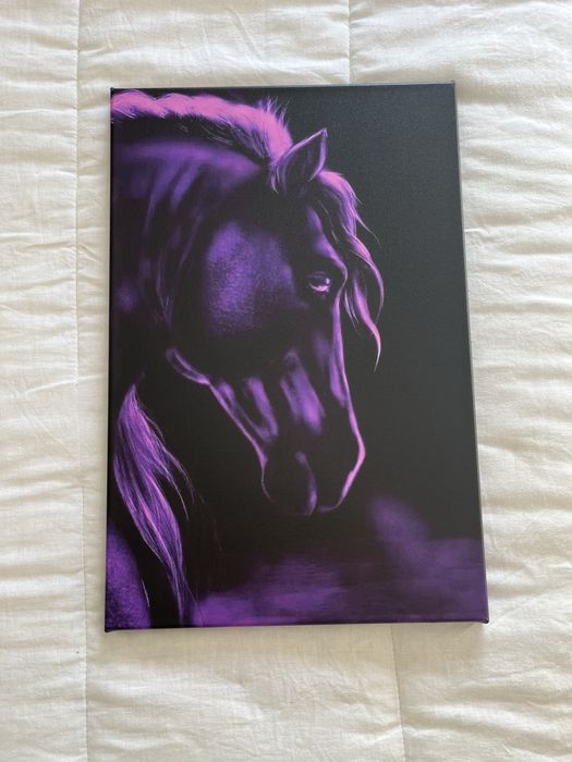 Quadro cavalo.