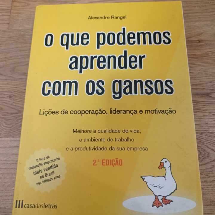vendo livro O que podemos aprender com os gansos
