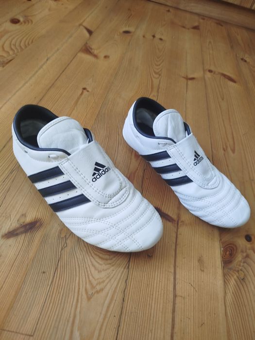 Buty do sportów walki