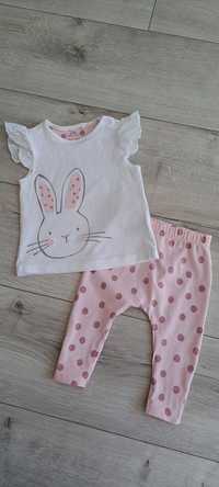 Next komplet niemowlęcy zestaw królik króliczek bluzka legginsy 62 68