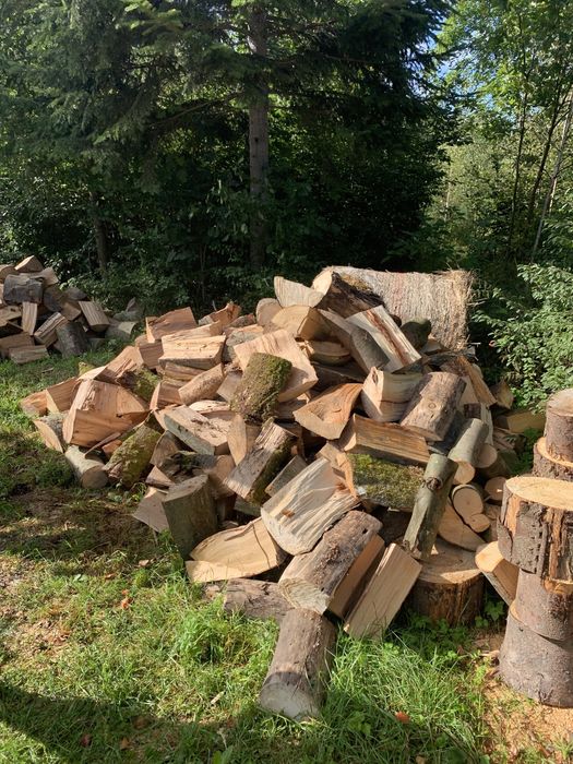 Drzewo opałowe BUK- DĄB