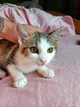 LAILA I LOLA mają tylko siebie