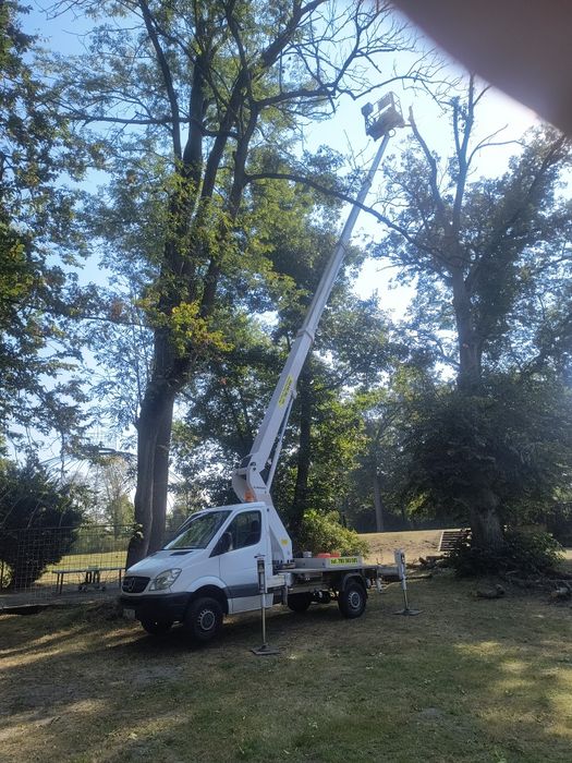 Wynajem podnośników koszowych,podnośnik zwyżka rębak wycinka drzew