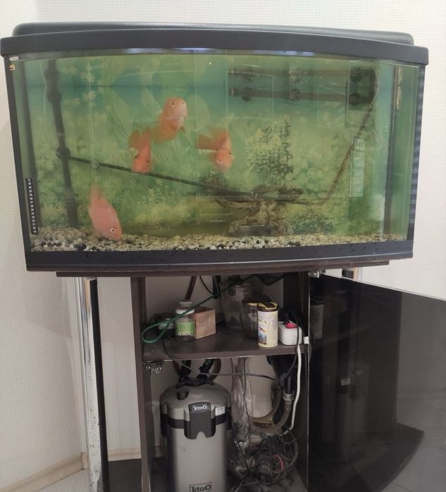 Акваріум із рибками та обладнанням 200 л